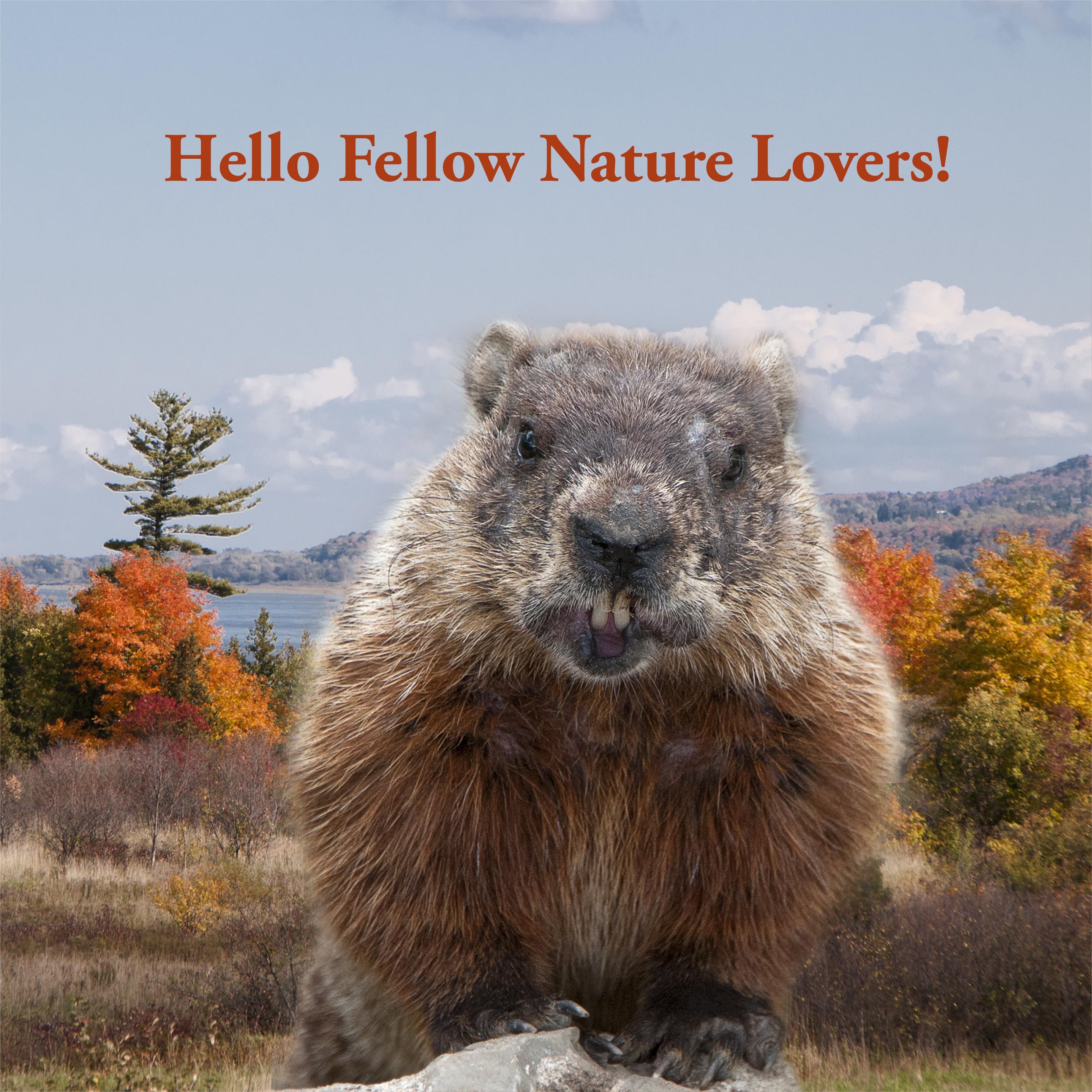 hello fellow nature lovers